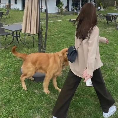 典当行