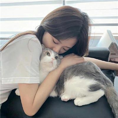 我家的英雄剧版